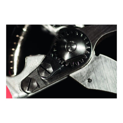 Nożyce do przycinania FELCO FELCO 8 Długość całkowita 210 mm ( 4000815630 )