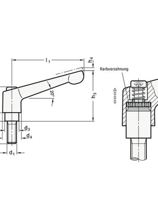 GANTER Palanca de sujeción ajustable GN 300 d1 M 6 mm (4601000546)