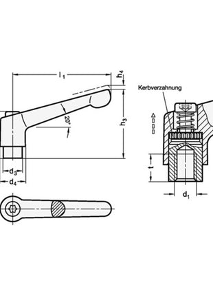 GANTER Palanca de sujeción ajustable GN 300 d1 M 6 mm (4601000546)