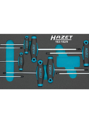 HAZET Werkzeugmodul 163-182/9 9-teilig ( 8000465896 )