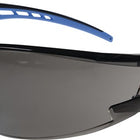 PROFIT Schutzbrille Falcon 2 EN 166 ( 4000370324 )