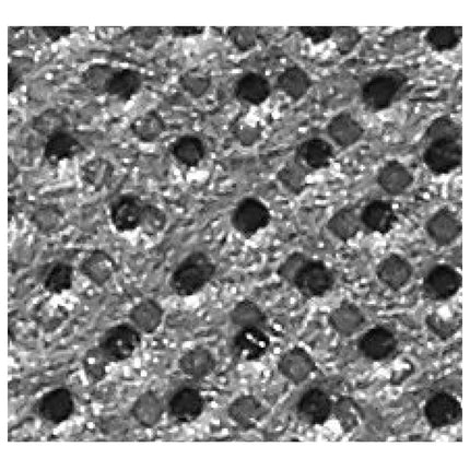 Festool Filtersack Longlife LL-FIS CT SYS für Absaugmobil CTL-SYS ( 500642 ) - Toolbrothers