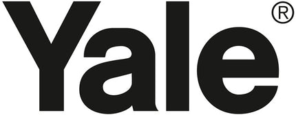 Podnośnik dźwigniowy YALE udźwig 250 kg wysokość podnoszenia 3 m ( 9000360052 )