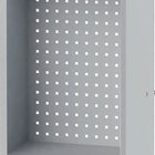 Szafka wisząca BEDRUNKA+HIRTH H750xW500xD200 mm drzwi z litej blachy ( 9000426220 )