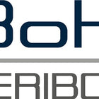 Tarcza gumowa Veribor ( 4000817231 ) głowica Ø 120 mm Veribor(R)