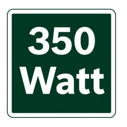 Bosch Heimwerker PEX 4000 AE Exzenterschleifer 350 W 125 mm ( 06033A4003 ) - Toolbrothers