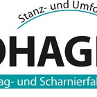 Zawias do skrzynki Hohage ( 3000256186 ) W.open300 mm niebieski chromianowany francuski