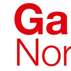 Koło ręczne Ganter GN 950 ( 4601000246 ) w 17 mm d1 140 mm d2 14 mm