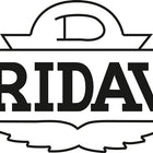 Samozamykacz sprężynowy Fridavo 15 ( 3000255051 ) f. Drzwi korytarzowe ze stali nierdzewnej