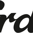 Erdi nożyczki figurowe D16 ( 8000350788 ) długość 240 mm proste stal nierdzewna maks. 1 mm