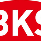 BKS Blokada śruby kompasu 0353 ( 3000250761 ) Śruba kompasu / uchwyt sprężynowy 20 x 260 mm