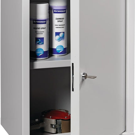 Szafka ścienna ( 9000453656 ) wys. 600 x szer. 400 x gł. 300 mm z litej blachy, 1 półka jasnoszara, RAL 7035/jasnoszara, RAL 7035