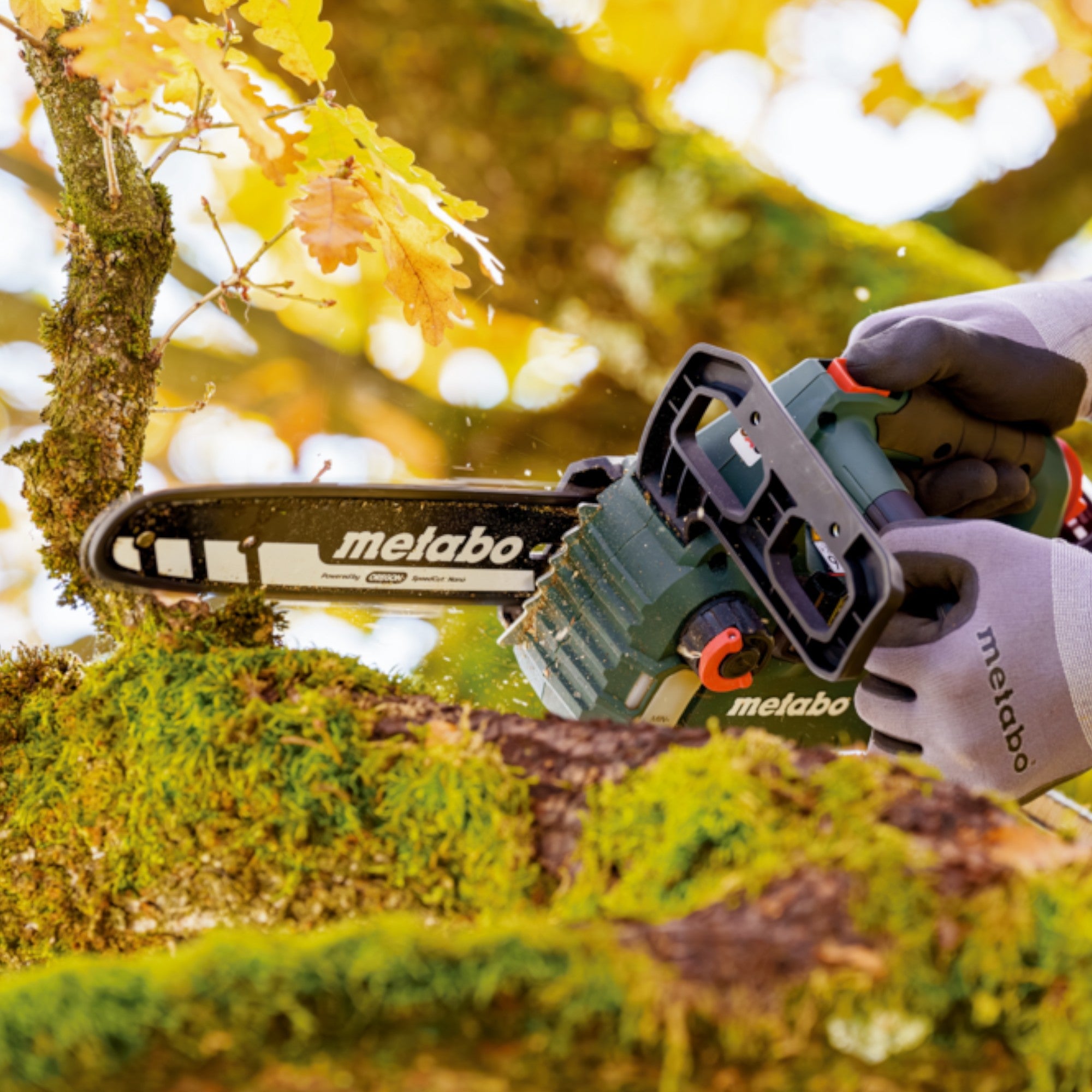 Metabo MS 18 LTX BL 25 Akku Kettensaege 18 V 25 cm Brushless 2x Akku 4 0 Ah Ladegeraet 4 - toolbrothers