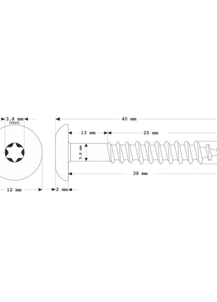 Meisterling Fassadenschrauben 4,8x38 mm 100 Stück ( 010020000201 ) 12 mm Flachkopf weiß mit Torx Teilgewinde V2A Edelstahl