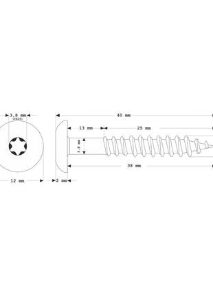 Meisterling Fassadenschrauben 4,8x38 mm 100 Stück ( 010020000211 ) 12 mm Flachkopf anthrazit mit Torx Teilgewinde V2A Edelstahl