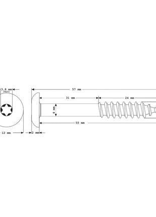 Meisterling Fassadenschrauben 5,5x55 mm 100 Stück ( 010030000441 ) 12 mm Flachkopf hellgrau mit Torx Teilgewinde V4A Edelstahl