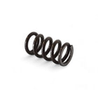 Festool AGC 18 sprężyna - część zamienna ( 10202107 )