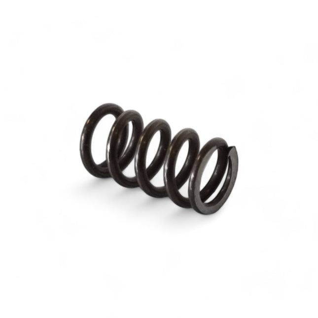 Festool AGC 18 sprężyna - część zamienna ( 10202107 )