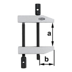 BESSEY Presse à vis parallèle PA envergure 46 mm ( 4000831577 )