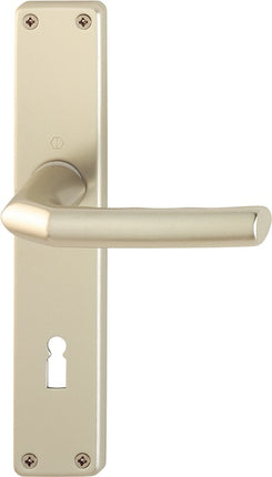 Zestaw długich płyt HOPPE Birmingham 1117/202SP aluminium F2 ( 3000252988 )