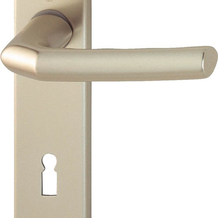 HOPPE zestaw rozet Birmingham 1117/202KP/AP Aluminium F2 ( 3000252943 )