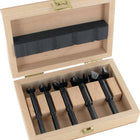 FAMAG Zestaw bitów Forstner Bormax 1622 5-częściowy ( 4000863751 )