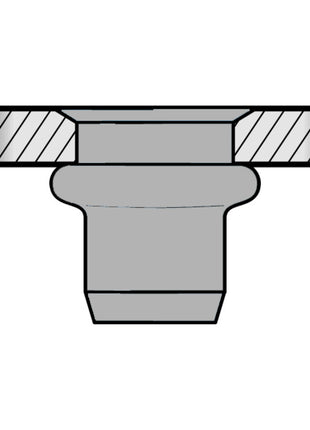 GESIPA Blindnietmutter Nietschaft d x l 9 x 15,5 mm M6 ( 4000813791 )